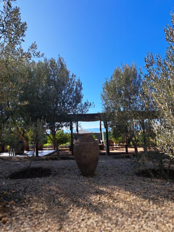 Olive Grove Cottage Koringberg Bagian luar foto